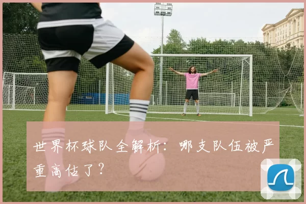 世界杯球队全解析:哪支队伍被严重高估了?