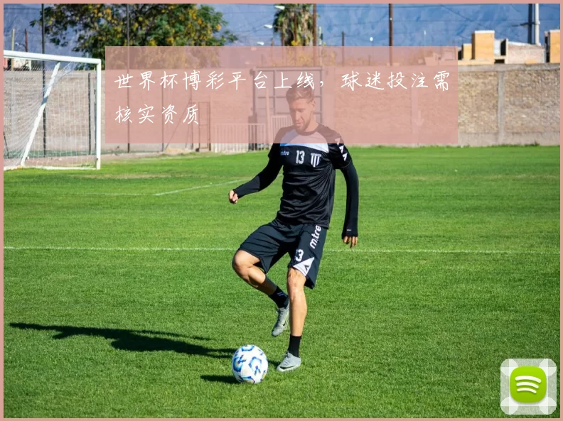 世界杯博彩平台上线,球迷投注需核实资质