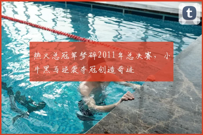 热火总冠军梦碎2011年总决赛，小牛黑马逆袭夺冠创造奇迹
