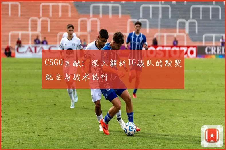 CSGO巨献：深入解析IG战队的默契配合与战术执行