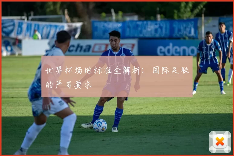 世界杯场地标准全解析:国际足联的严苛要求