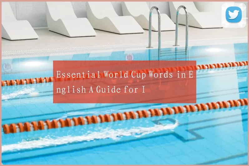 Essential World Cup Words in English A Guide for I