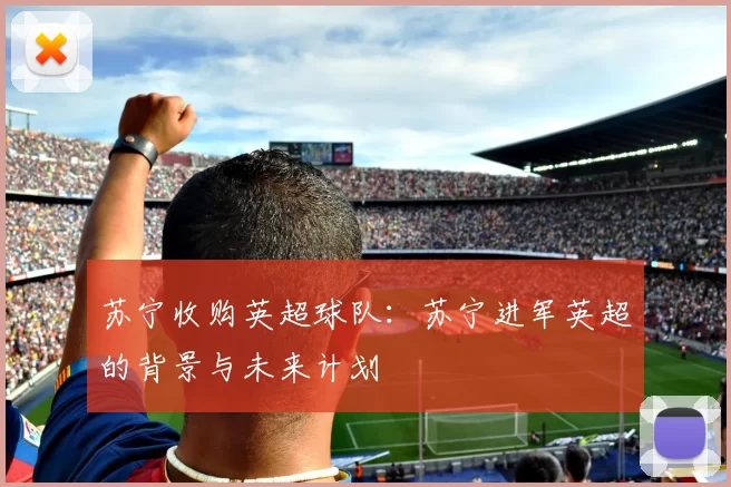 苏宁收购英超球队：苏宁进军英超的背景与未来计划
