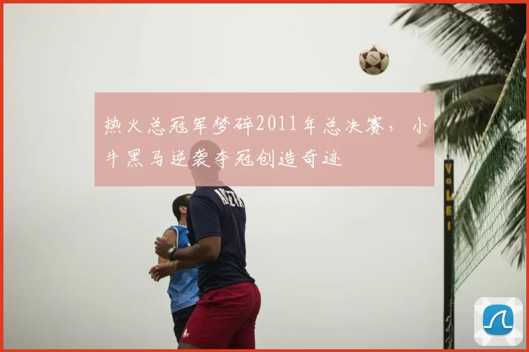 热火总冠军梦碎2011年总决赛,小牛黑马逆袭夺冠创造奇迹