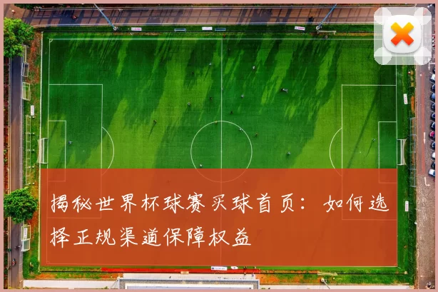 揭秘世界杯球赛买球首页：如何选择正规渠道保障权益
