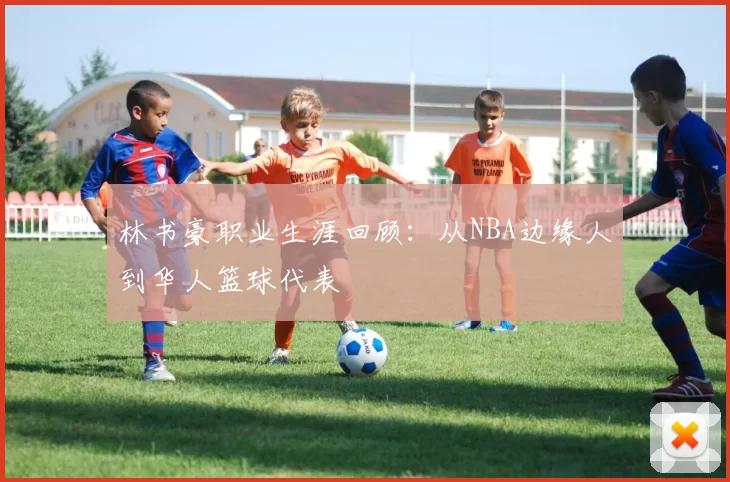 林书豪职业生涯回顾：从NBA边缘人到华人篮球代表