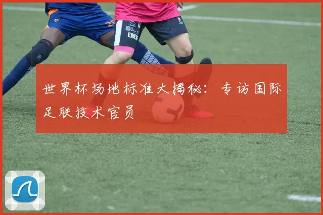 世界杯场地标准大揭秘：专访国际足联技术官员
