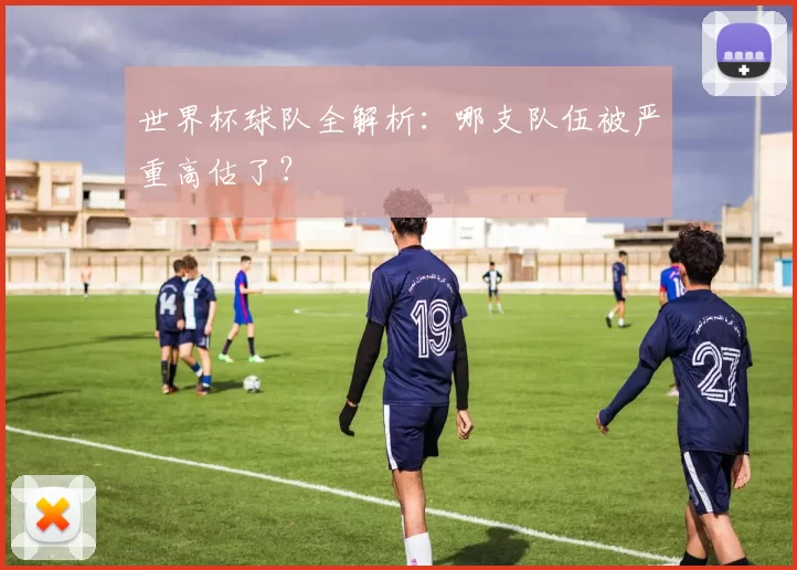 世界杯球队全解析：哪支队伍被严重高估了？