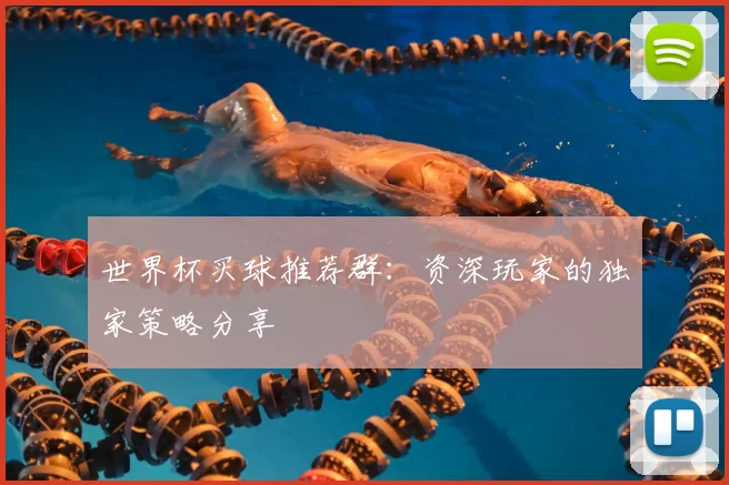世界杯买球推荐群:资深玩家的独家策略分享