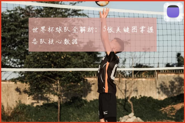世界杯球队全解析：5张关键图掌握各队核心数据