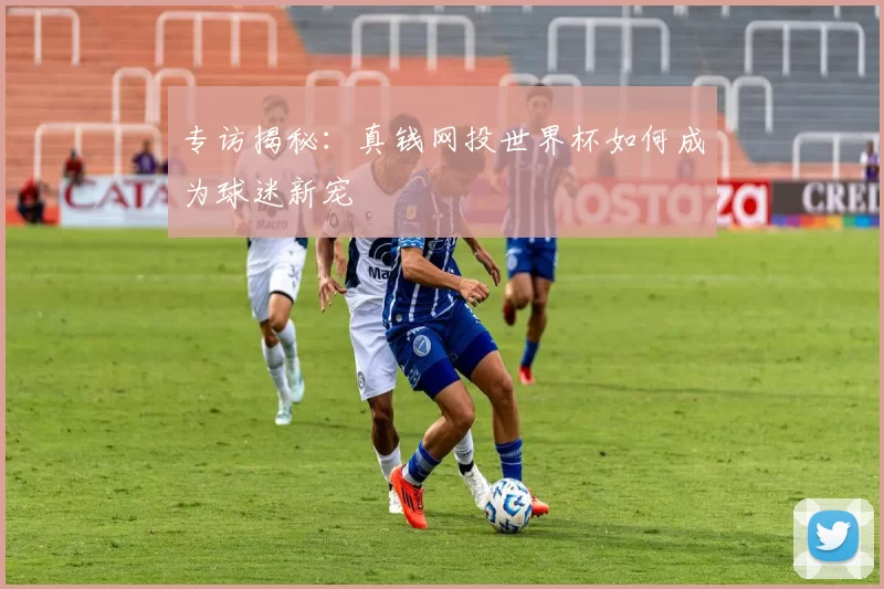专访揭秘：真钱网投世界杯如何成为球迷新宠