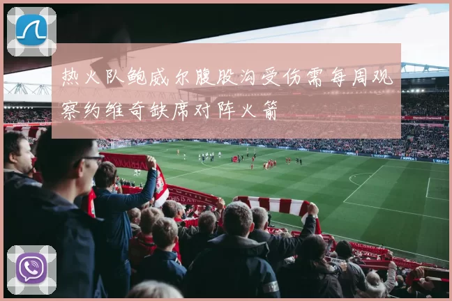 热火队鲍威尔腹股沟受伤需每周观察约维奇缺席对阵火箭